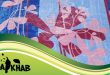 قیمت خرید پتو نسیم