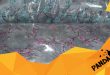 نمایندگی بالش کرک