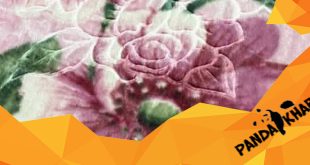 نماینده فروش پتو یگانه