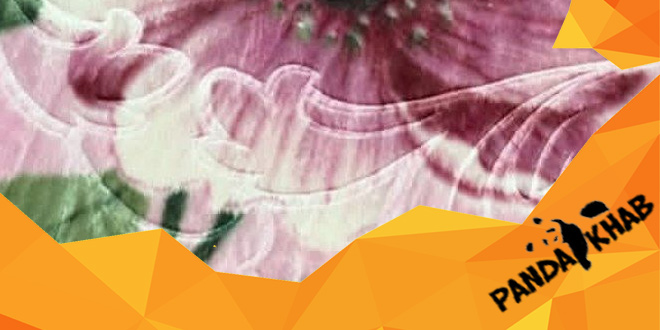 نماینده پتو یگانه