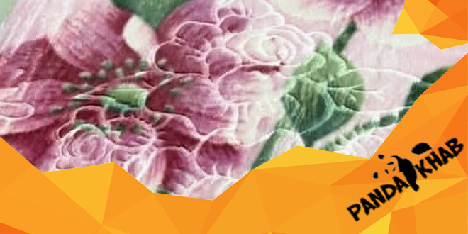 پخش پتو یگانه